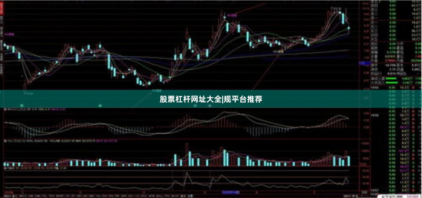 股票杠杆网址大全|规平台推荐